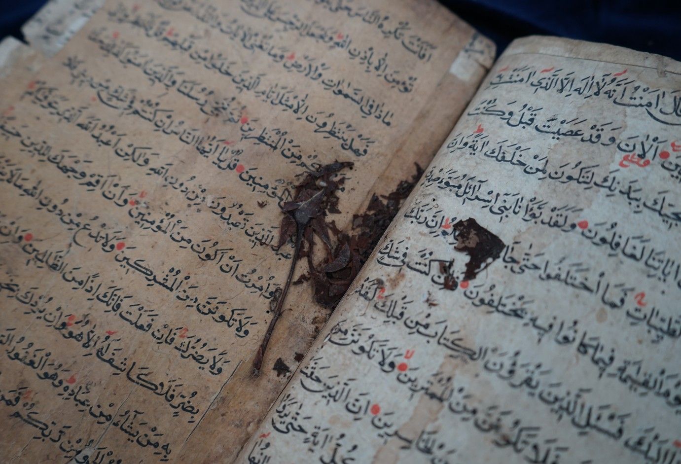 古蘭經內頁夾藏著花瓣及樹枝。（照片提供／徐美文）