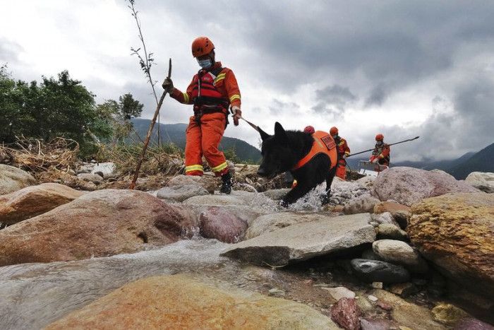 搜救人員帶著搜救犬，沿路尋找是否有受困水中的民眾。（美聯社提供）