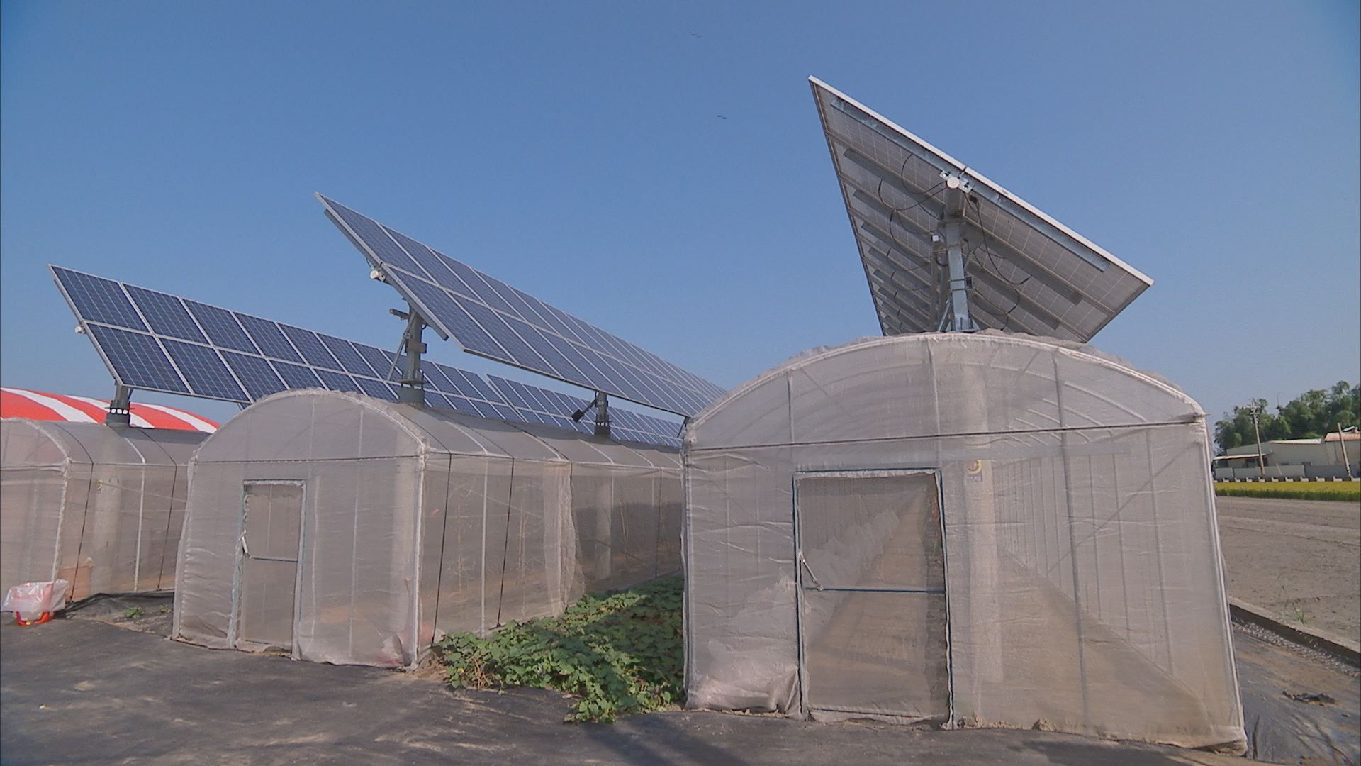 在絲瓜棚、溫室等上方設置太陽能板發電，屬於農業設施屋頂的一種。