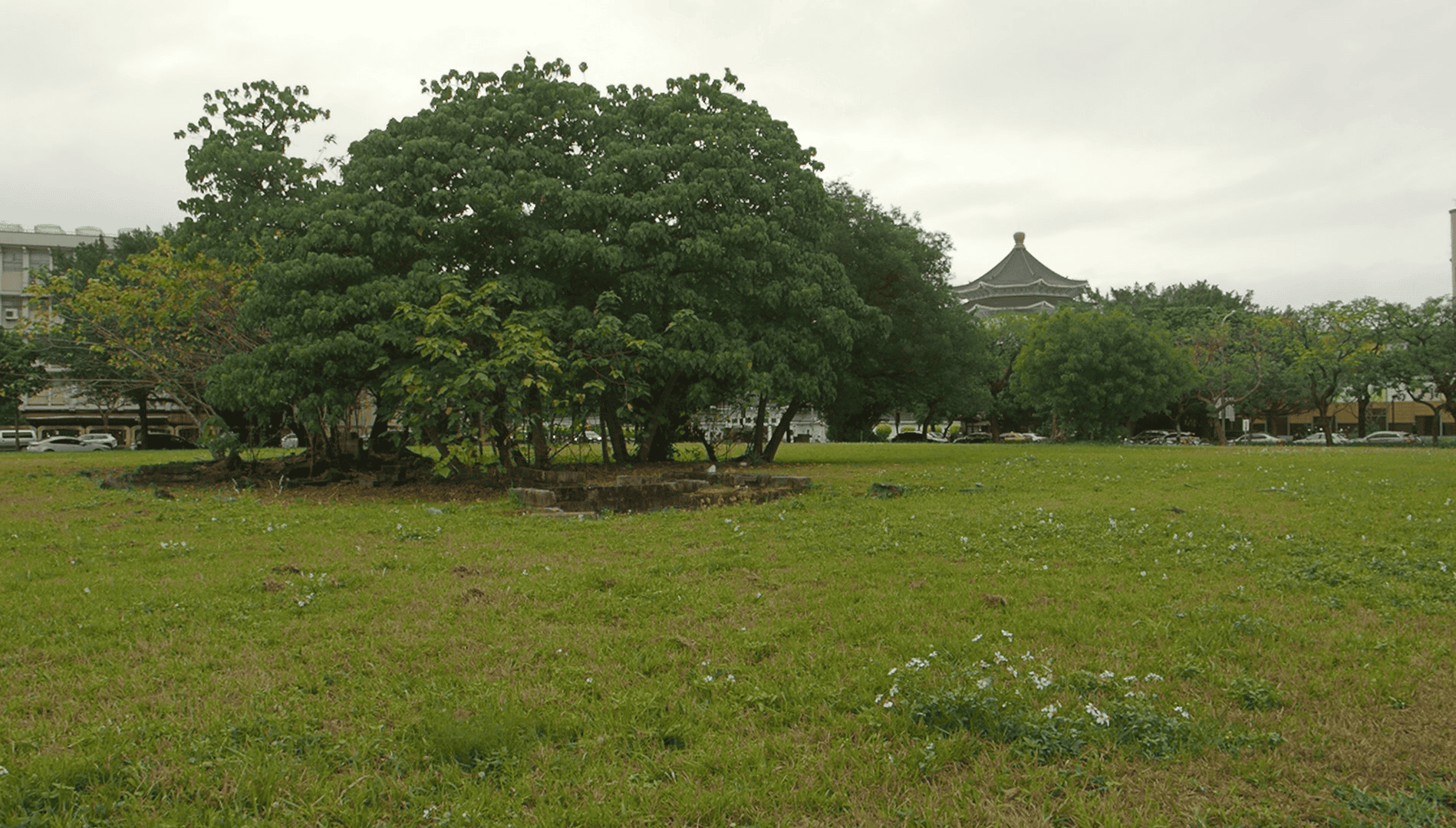 2023年華光社區靠近杭州南路之拆遷遺址，仍為草皮一片。